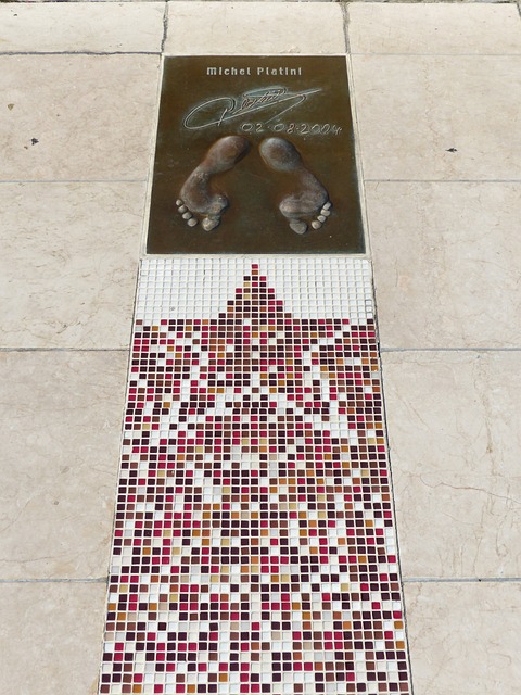 导致运动员 导致运动员