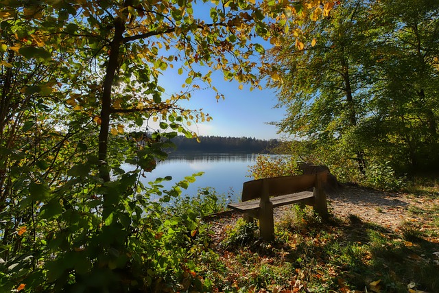 勝的機會都 勝的機會都