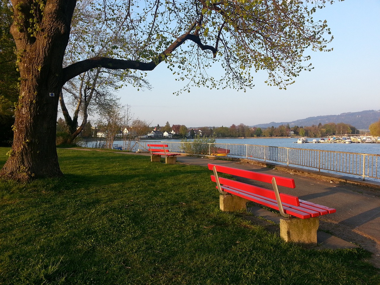 大有潜力的 大有潜力的